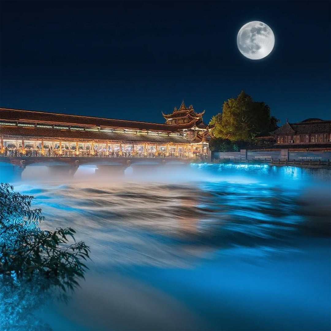 【Exclusive Car & Guide Services】1-Day Heritage Combo: Mt. Qingcheng Taoist Culture & Dujiangyan Irrigation System Tour from Chengdu